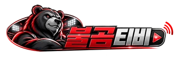 불곰티비